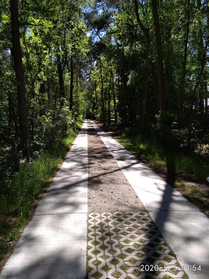 Holiday Home Harmony Brecht Екстер'єр фото